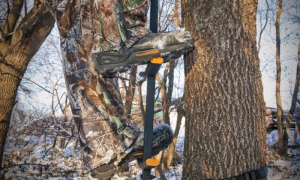 climbing sticks stands tree